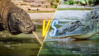 Komodo Dragon VS Crocodile [upl. by Alios]