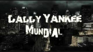 Coraza Divina  Daddy Yankee  LYRICS [upl. by Natsirc222]