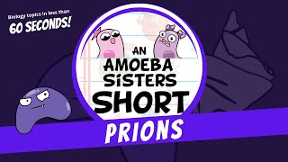 Prions  Amoeba Sisters Shorts [upl. by Aissirac479]