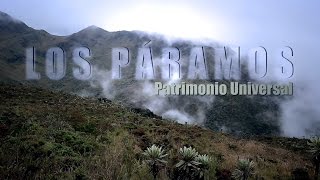 VIDEO LOS PÁRAMOS PATRIMONIO UNIVERSAL [upl. by Arrahs]