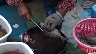 Amazing To Kill Big Siganus Fuscescens With Knife At Floating Seafood Market Of Hong Kong [upl. by Niac]