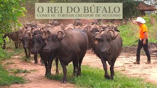 De Peão Boiadeiro a Rei dos Búfalos [upl. by Nirrat]