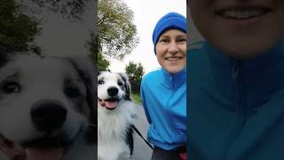 Aufgeregten Hund beruhigen hundeerziehung hundetrainer [upl. by Akirret358]