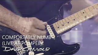 David Gilmour  Comfortably Numb Live At Pompeii [upl. by Rozella]