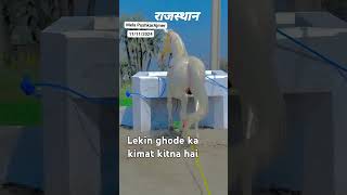 Dekhiae ghoda ka kimat kitna hai kajubarfi [upl. by Warfore]