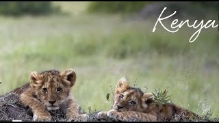 Abercrombie amp Kent Kenya Safari and Luxury Holiday [upl. by Kassi]