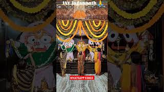 Lord jagannath arati mangalarati shortvideo shortvideo jagannathmangalarati [upl. by Ned784]