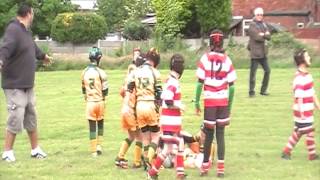 Woolston Rovers Golds Vs Folly Lane Lions [upl. by Millham]