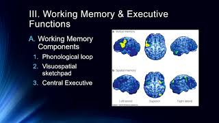 Shorter Term Memory Systems [upl. by Dnalyram326]