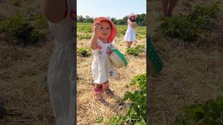 Erdbeeren pflücken 🍓 Familientag auf dem Erdbeerfeld shorts vlog Mamiseelen [upl. by Millda808]