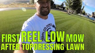 First REEL LOW MOW after Topdressing  Lawn Rebel [upl. by Dlanigger]