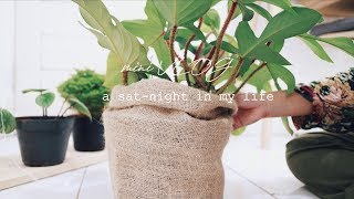 mini vlog 6 a saturday night in my life [upl. by Nivrae959]