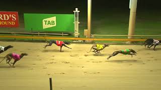 Rockhampton23102024Race5 [upl. by Gambrell]