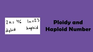 Ploidy and Haploid Number [upl. by Yleek]