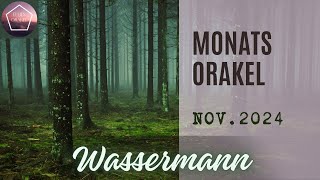 Wassermann ♒️ Orakel für November 2024 🪄 Die Macht ist mit dir  ⭐️ [upl. by Kenti885]