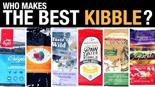 The Pet Food Kibble Review [upl. by Nadean770]