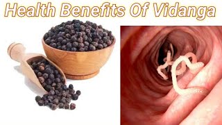 Health Benefits of Vidanga ke fayde [upl. by Kciregor703]