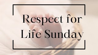 Respect for Life Sunday  Fr Scott Looker [upl. by Anneirb]