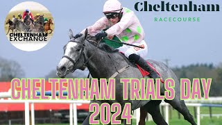 Cheltenham Trials Day Meeting Preview  Episode 13  Predictions  Tips  Selections [upl. by Wolf495]