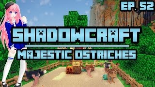 Majestic Ostriches  ShadowCraft  Ep 52 [upl. by Burtie690]