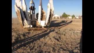 Mature Pecan Tree Transplanting  Hole Preparation [upl. by Willett]