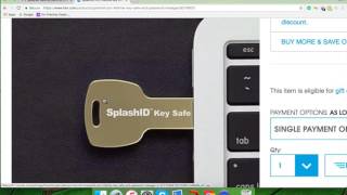 Getting Started with SplashID Key Safe [upl. by Naesad464]