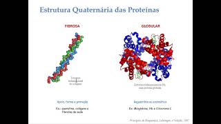 Aula 6Bioquímica proteínas Parte 5 [upl. by Ardisj]