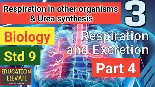 Class 9  Biology  Unit 3  Respiration and Excretion  Part 4 [upl. by Opportuna]