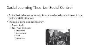 Social Process Theories and Critical Theory Explaining Delinquency [upl. by Genia]