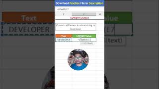 Master the Excel LOWER Function  Convert Text to Lowercase Easily [upl. by Aicined]