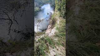 Scary Sand Erosion Hurricane Milton on Econlockhatchee at Barr Street Little Big Econ State Forest [upl. by Budge]