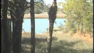 46 Inlet Cove Kiawah 46 Sunlet Bend [upl. by Isabella]