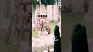 Vah didi vah ek kela shorts funnyvideo comedyvideos Round2World CarryMinati [upl. by Fugazy909]