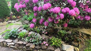 Shade Garden Rockery Planting [upl. by Etteinotna546]