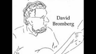 David Bromberg  Lonesome Roving Wolves [upl. by Wren296]