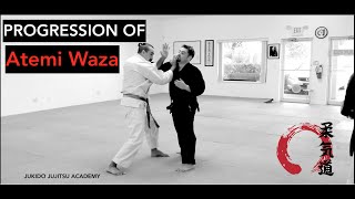 Atemi Waza • quotSmall to Bigquot Jujutsu  Jujitsu Striking Method  JUKIDO JUJITSU [upl. by Naginarb]