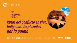 Rutas del Conflicto en vivo Indígenas desplazados por la palma  Festival Gabo 2024  🔴EN VIVO [upl. by Issy598]