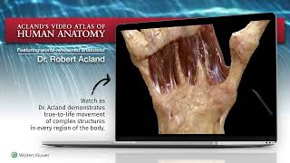 Aclands Atlas of Human Anatomy 2023 [upl. by Stanton]