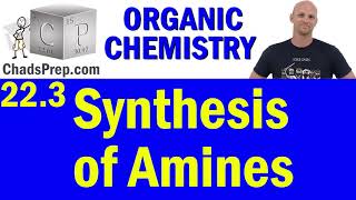 223 Synthesis of Amines  Organic Chemistry [upl. by Orpha]