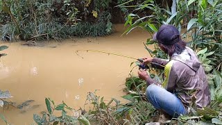 Mancing di sungai yg keruh  umpan cacing [upl. by Asek616]