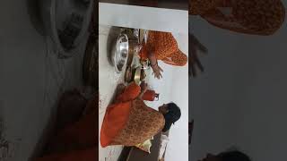 Chat Puja ka presley room Jai chatia maia [upl. by Frasco]