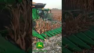 Cosechadora JOHN DEERE johndeere shortsviral farming [upl. by Creigh]