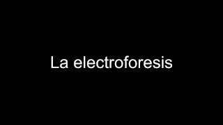 La electroforesis [upl. by Spear]