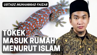 Tokek Masuk Rumah Menurut Islam  Ustadz Faizar [upl. by Etnoved]