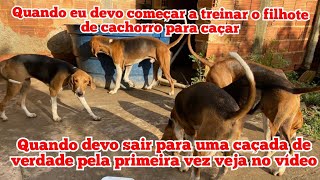 Quando devo começar a treinar o meu filhote de cachorro levar cachorro para caçar pela primeira vez [upl. by Cyrill]