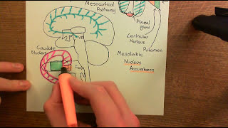 Schizophrenia and Antipsychotic Drugs Part 4 [upl. by Metcalf]