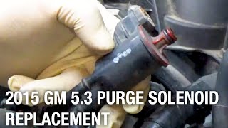 2015 GM 53 Purge Solenoid Replacement  Diagnostic Tip [upl. by Ettessil]