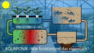 Was ist eigentlich AQUAPONIK [upl. by Morice]