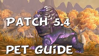 Wow Guide To Taming Portent Aka Armored Quilen Patch 54 [upl. by Rehpotsrik]