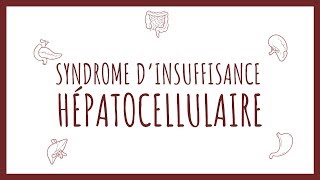 Sémiologie Hépatique  Insuffisance Hépatocellulaire [upl. by Preston]